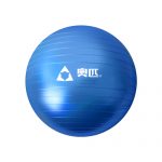 Gym Ball China 65CM Blue