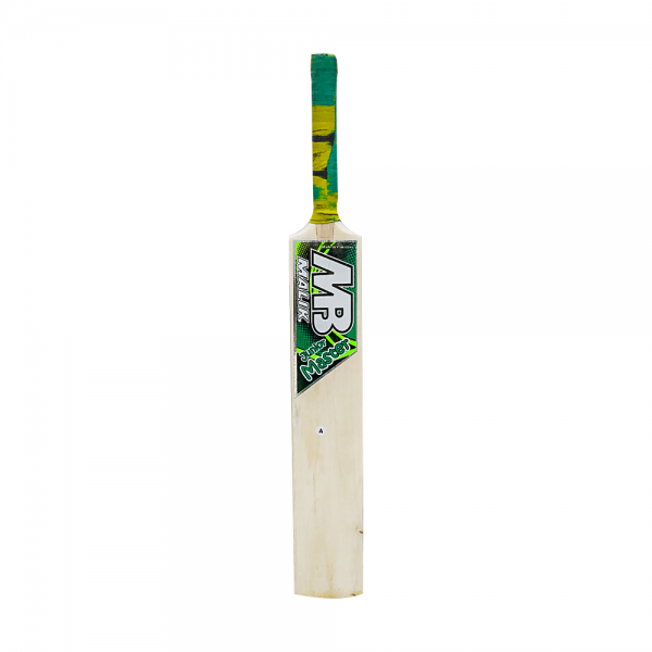 Kids Cricket Bat